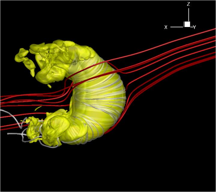 Heliosphere and Magnetic Field Lines