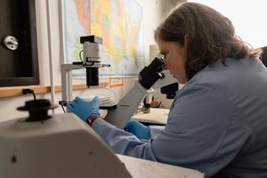 Rebecca Zufall microscope