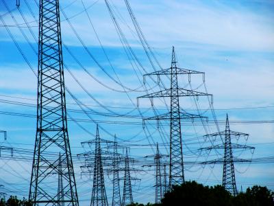 Electricity Grids