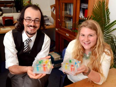 LEGO Engineered Environments