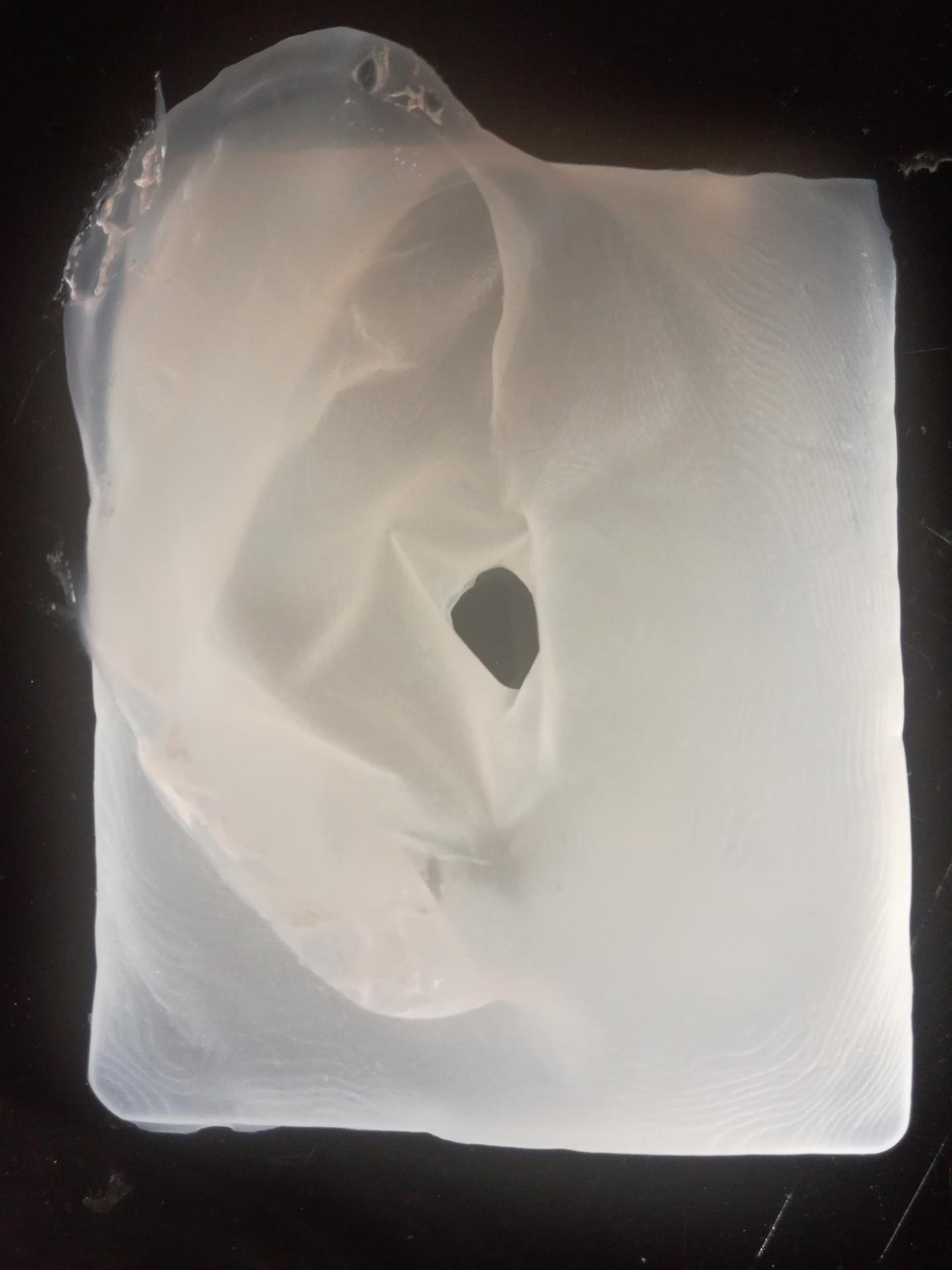 Bacterial Cellulose Bio-Fabricated in the Shape of An Ear