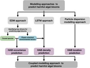 Prototype approach for coupling the three SATREPS models predicting harmful algal blooms