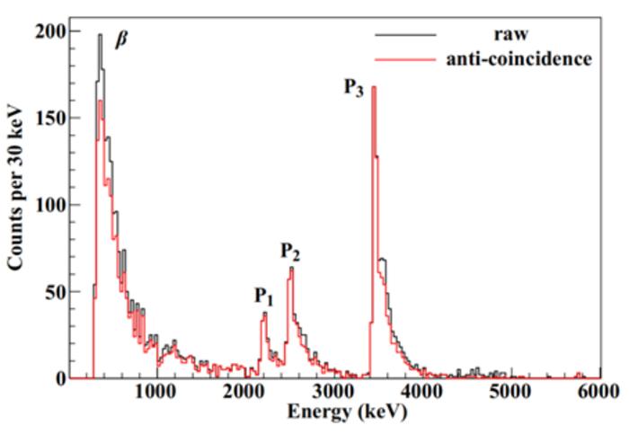 β-delayed proton spectrum from the decay of  32Ar