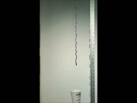 Video Recording for a Hemihelix with Multiple Perversions