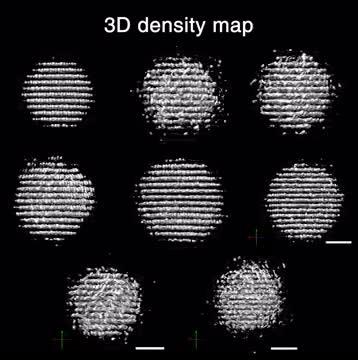 3D Reconstructions of Individual Nanoparticles