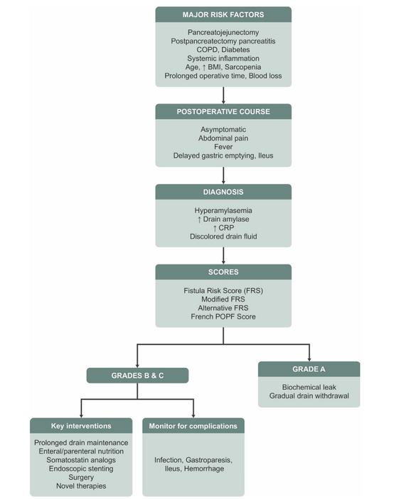 Comprehensive overview and management strategy of POPF.
