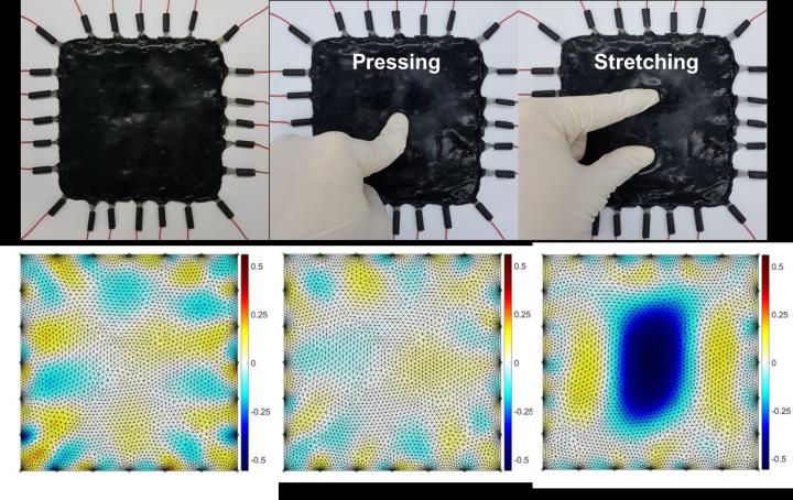 Mechanical Stimuli 
