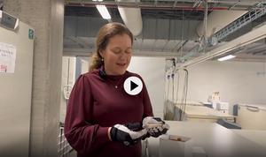 VIDEO: Tove Fall explains the research behind the study