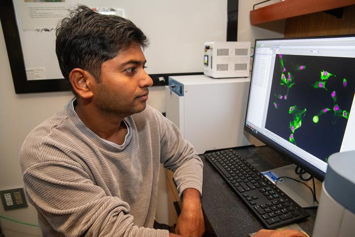 Dr. Belal conducting microscopic investigations