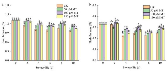 Effects of MT treatments at different concentrations on (a) fruit firmness and (b) flesh firmness of blueberry fruit during room temperature storage.