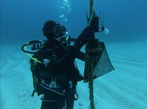 Researcher Dr Lucy Mead with acoustic receiver