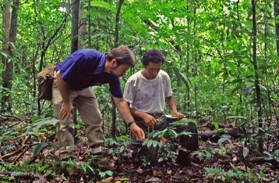 Seedling Census on Barro Colorado Island