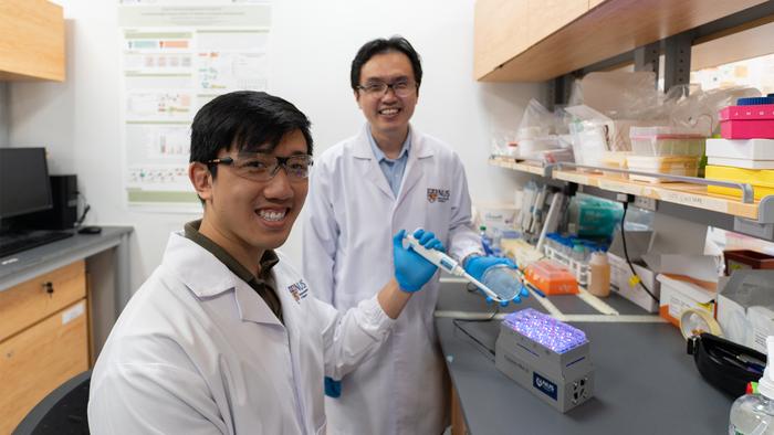 NUS researchers engineered colour-sensing yeast