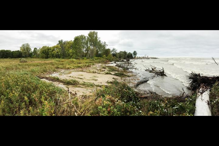 Wetlands Panoramic