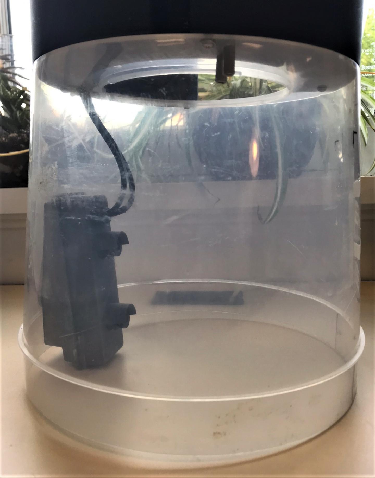 Imaging System for Monitoring Mosquitos