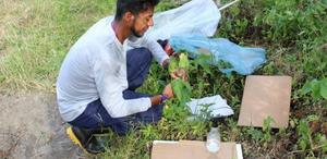 Indigenous researcher revives traditional medical practices of his people