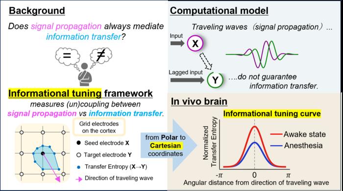 graphical abstract