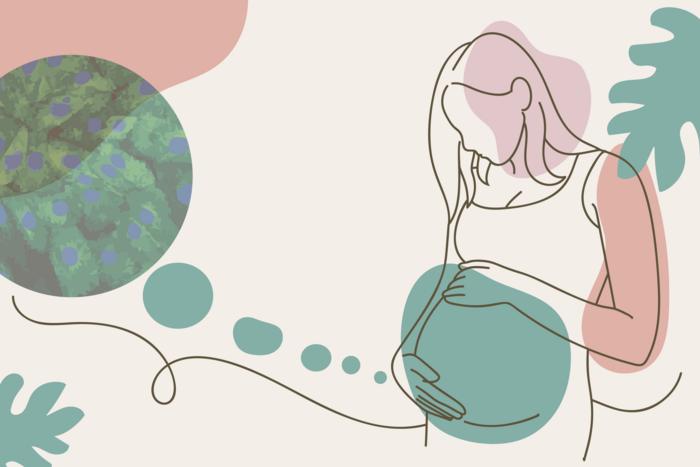 New Full-Term Placental Stem Cells Could Transform Research on Late-Pregnancy Complications