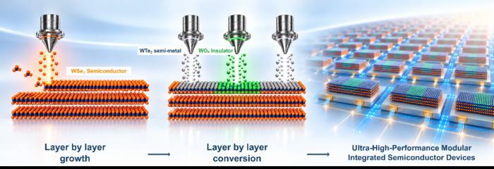 Figure 1. Schematic illustration of modular two-dimensional transistor fabrication through layer by layer chalcogen substitution