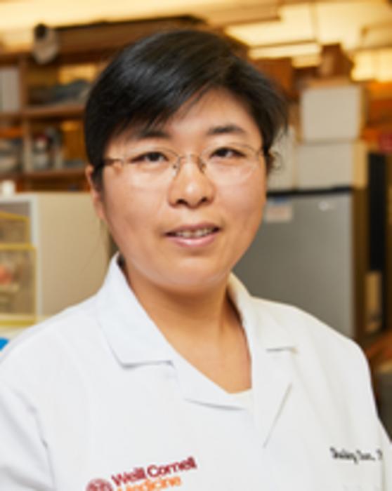 Dr. Shuibing Chen