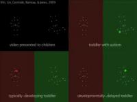 Klin Supplementary Movie (2 of 2)