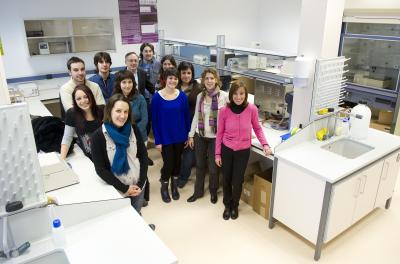 Researchers Show that Lipid Nanoparticles Are Ideal for Delivering Genes and Drugs