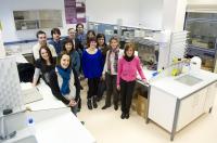 Researchers Show that Lipid Nanoparticles Are Ideal for Delivering Genes and Drugs
