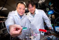 Quantum Communications at the Tip of Your Fingers