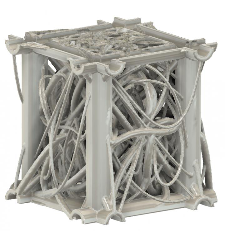 Prellis Bio Scaffold (2 of 2)