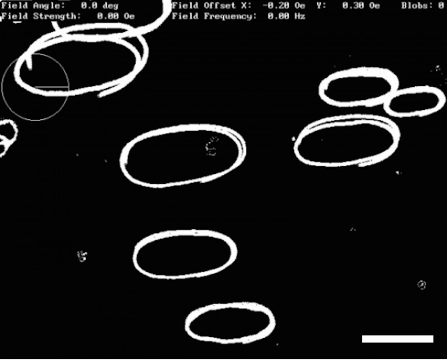 Trajectories
