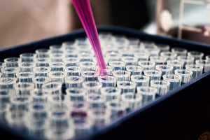 BAK/MCL1 Complexes can Predict Chemotherapy Drugs Sensitivity in Cancer Cell