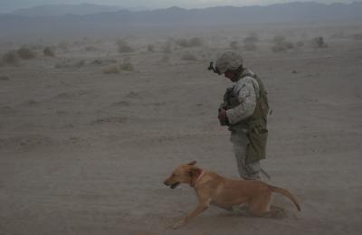 IDD in Afghanistan