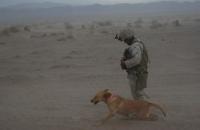 IDD in Afghanistan