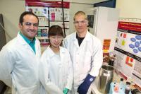 Research Team