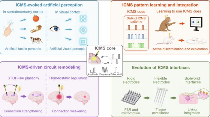 Conceptual framework for ICMS in BCIs.