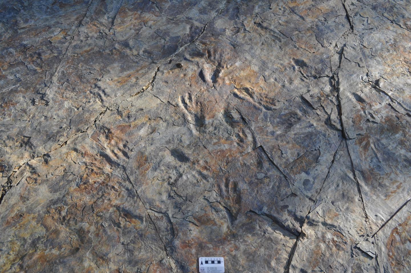 Footprints