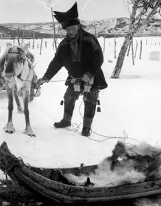 Per Hallonen