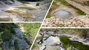 Dry rivers: A source of biodiversity