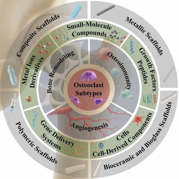 Figure 1. Schematic illustration of bioactive scaffold strategies targeting microenvironmental dysregulation in the treatment of early ONFH