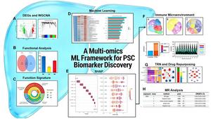 A Multi-omics and Machine Learning Framework Identifies Plasma SBDS as a Causal Biomarker and Therapeutic Target in Primary Sclerosing Cholangitis