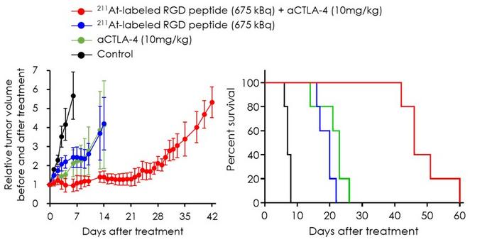 Figure1. Comparison of Treatments in Tumor-Bearing Mice