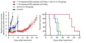 Figure1. Comparison of Treatments in Tumor-Bearing Mice