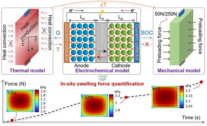 Li-Ion Battery Swelling Force: Multiphysics Coupling Modeling and In-Situ Quantification for Safety Enhancement