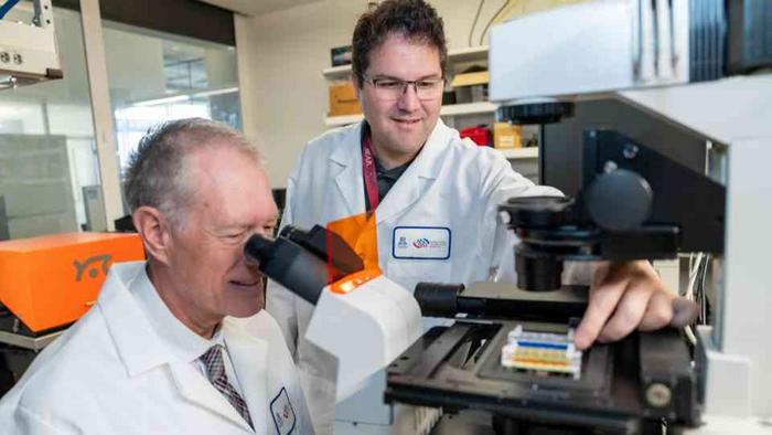 International team led by HonorHealth Research Institute and U of A develop 3D chip platform for laboratory testing in cancer research