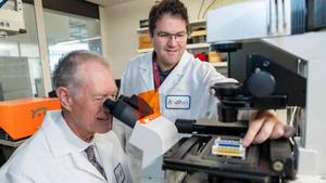 International team led by HonorHealth Research Institute and U of A develop 3D chip platform for laboratory testing in cancer research