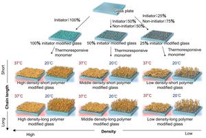 thermoresponsive polymer-modified glass substrates with different density and chain length