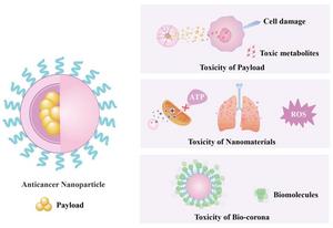 Potential toxicity mechanisms of anticancer nanoparticles, highlighting contributions from the nanomaterials, payload, and bio-corona that can result in cell damage.