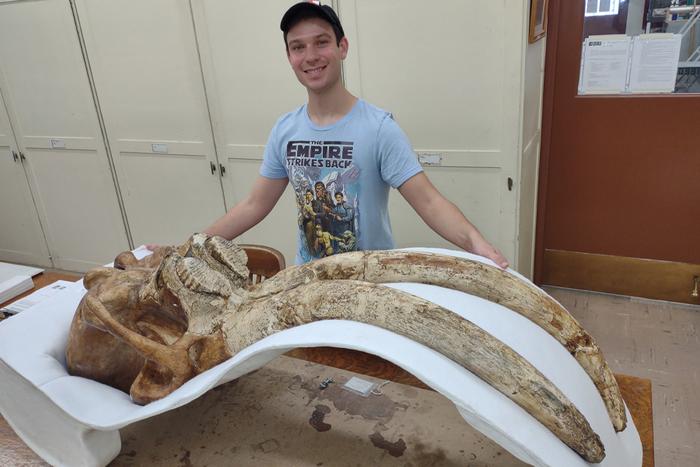 Skull