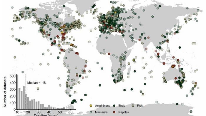 How can we reverse biodiversity loss?