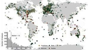 How can we reverse biodiversity loss?